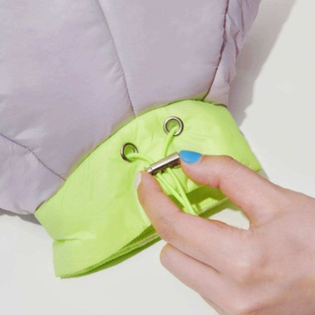 R³ Elizabethan Collar