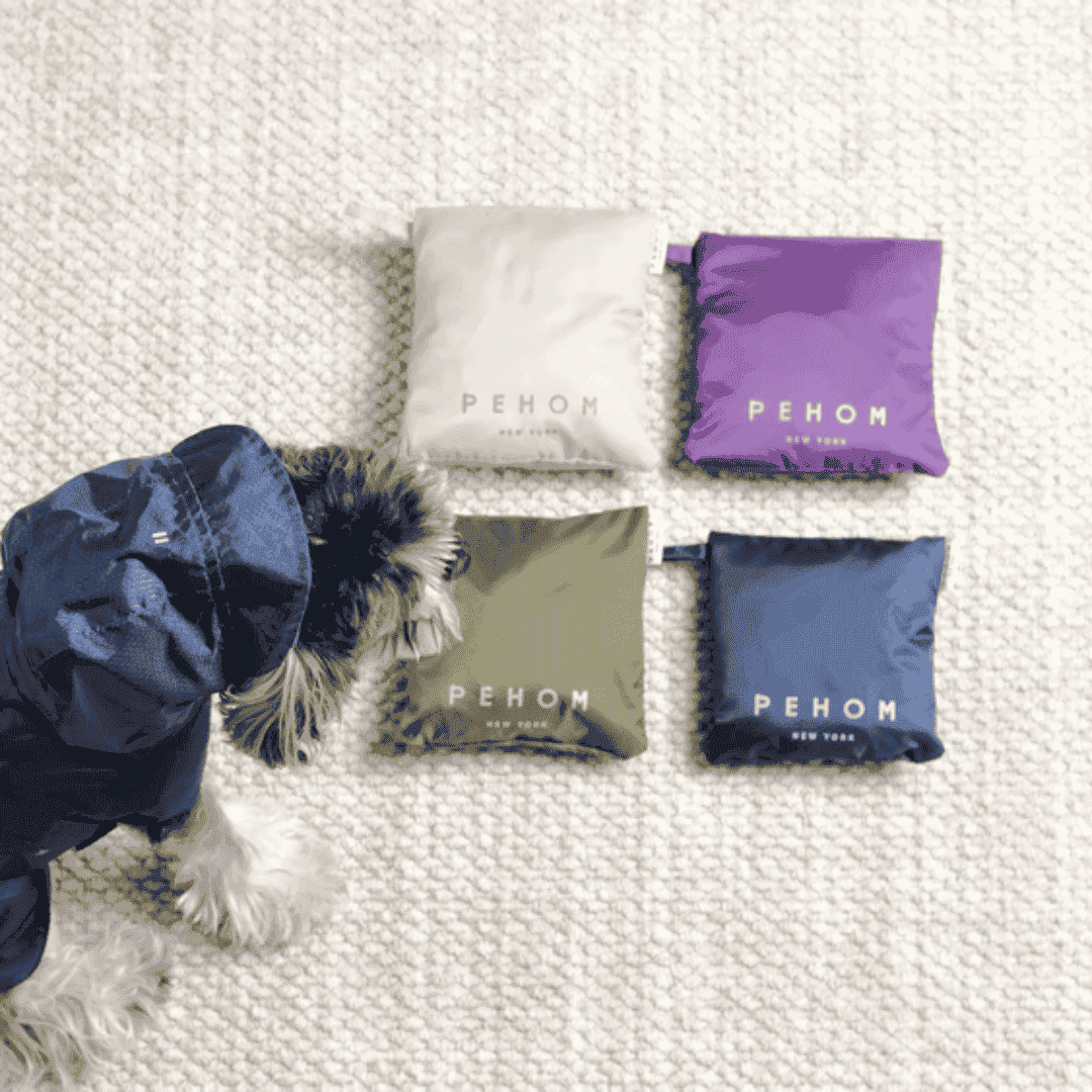 Capsule Dog Raincoat - Beige