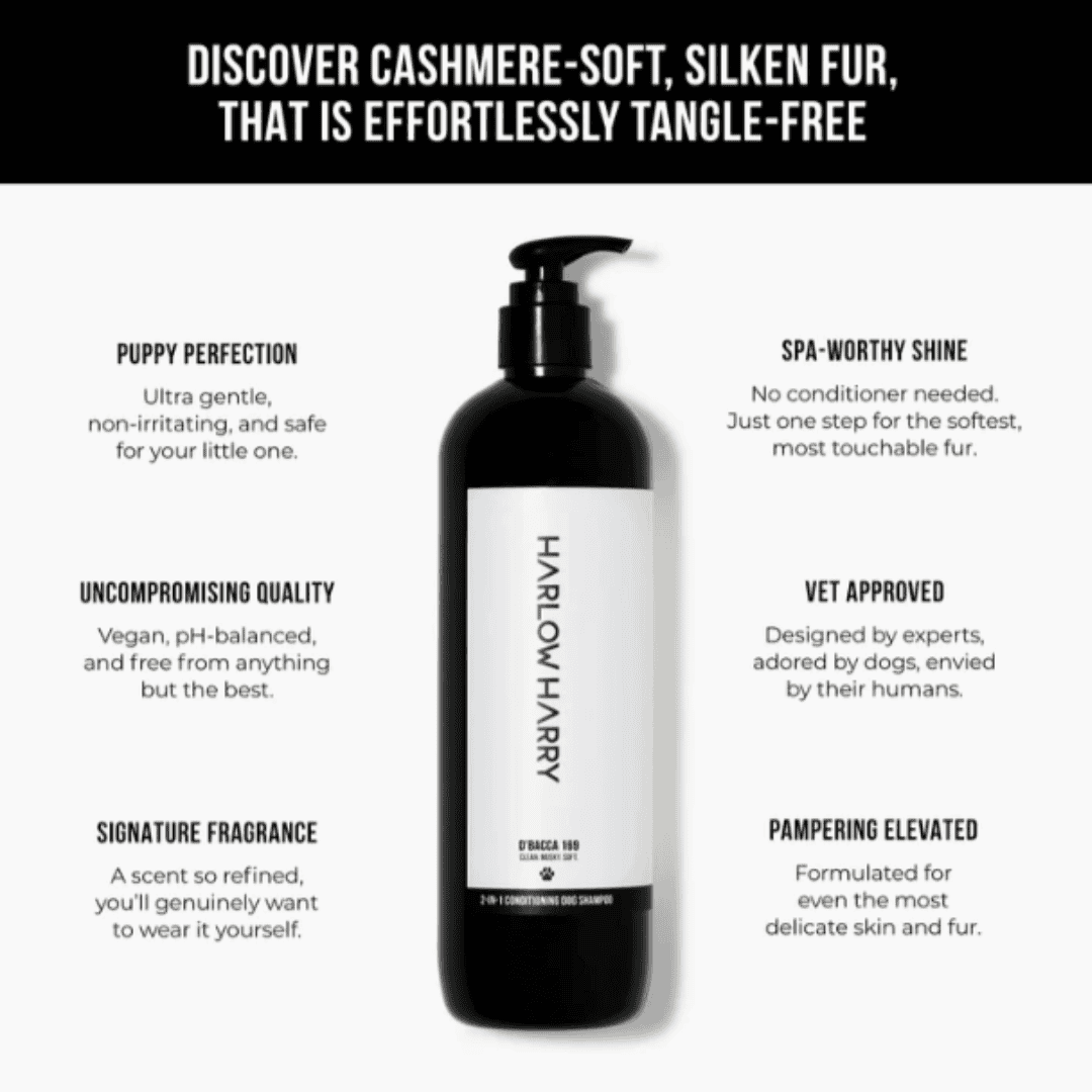Dog Conditioning Shampoo | D'bacca 169