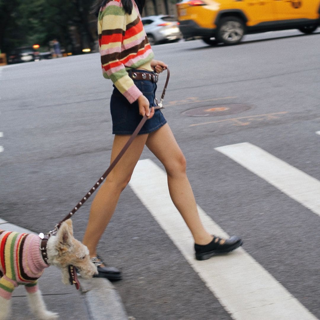 Hazel Brown Button Leather Dog Collar x Lisa Says Gah