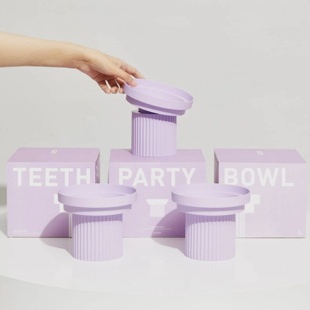 Teeth Party Pet Bowl