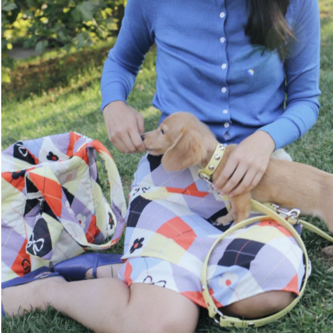 Butter Button Leather Dog Collar x Lisa Says Gah