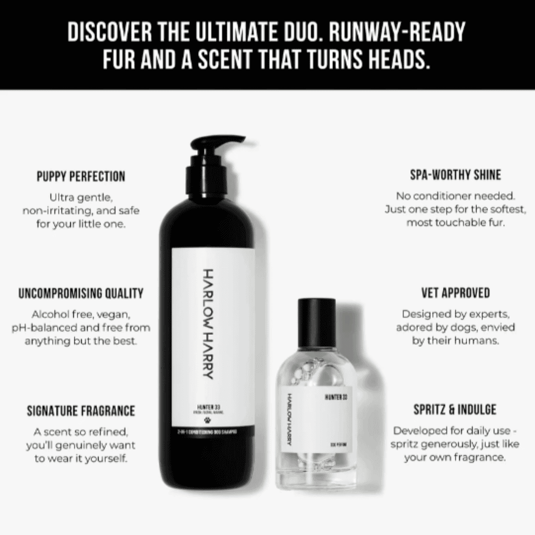 Dog Parfum and Shampoo Set | Solera 145 (St Argo 191)