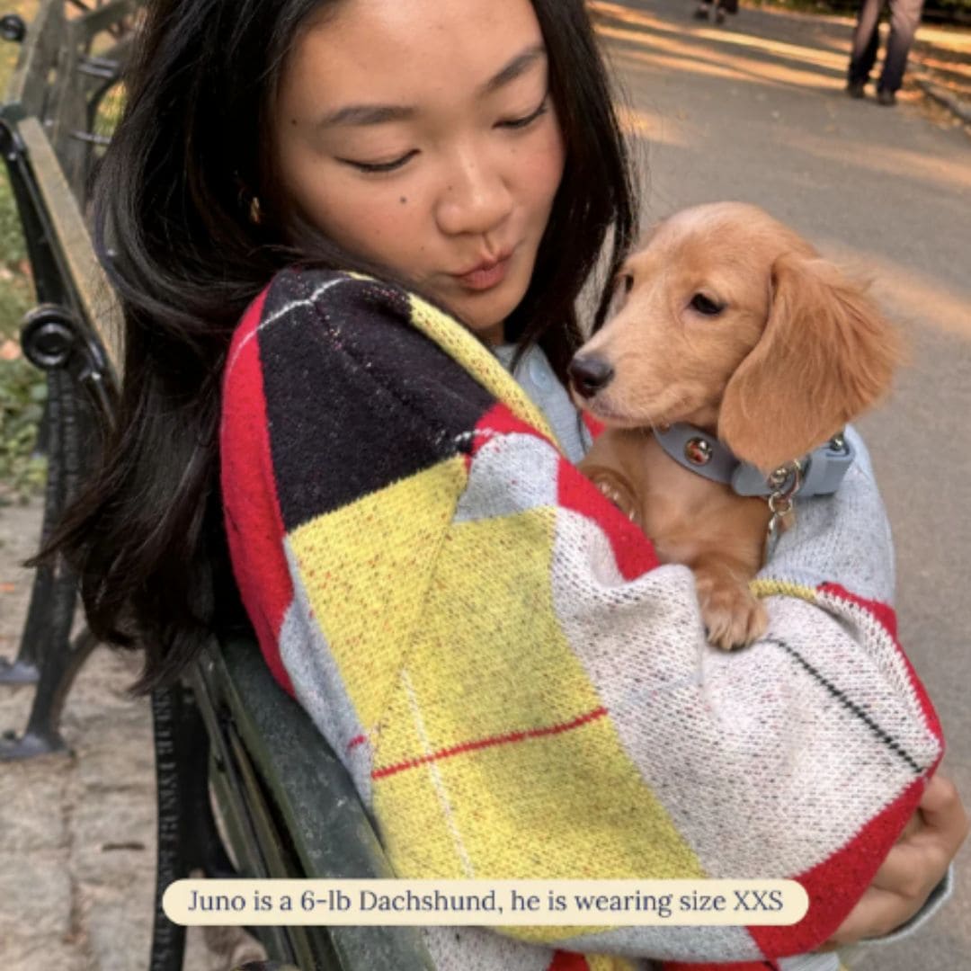 Baby Blue Button Leather Dog Collar x Lisa Says Gah