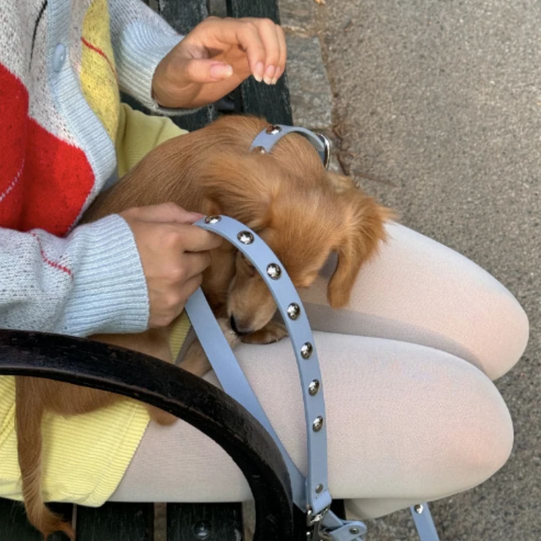 Baby Blue Button Leather Dog Leash x Lisa Says Gah