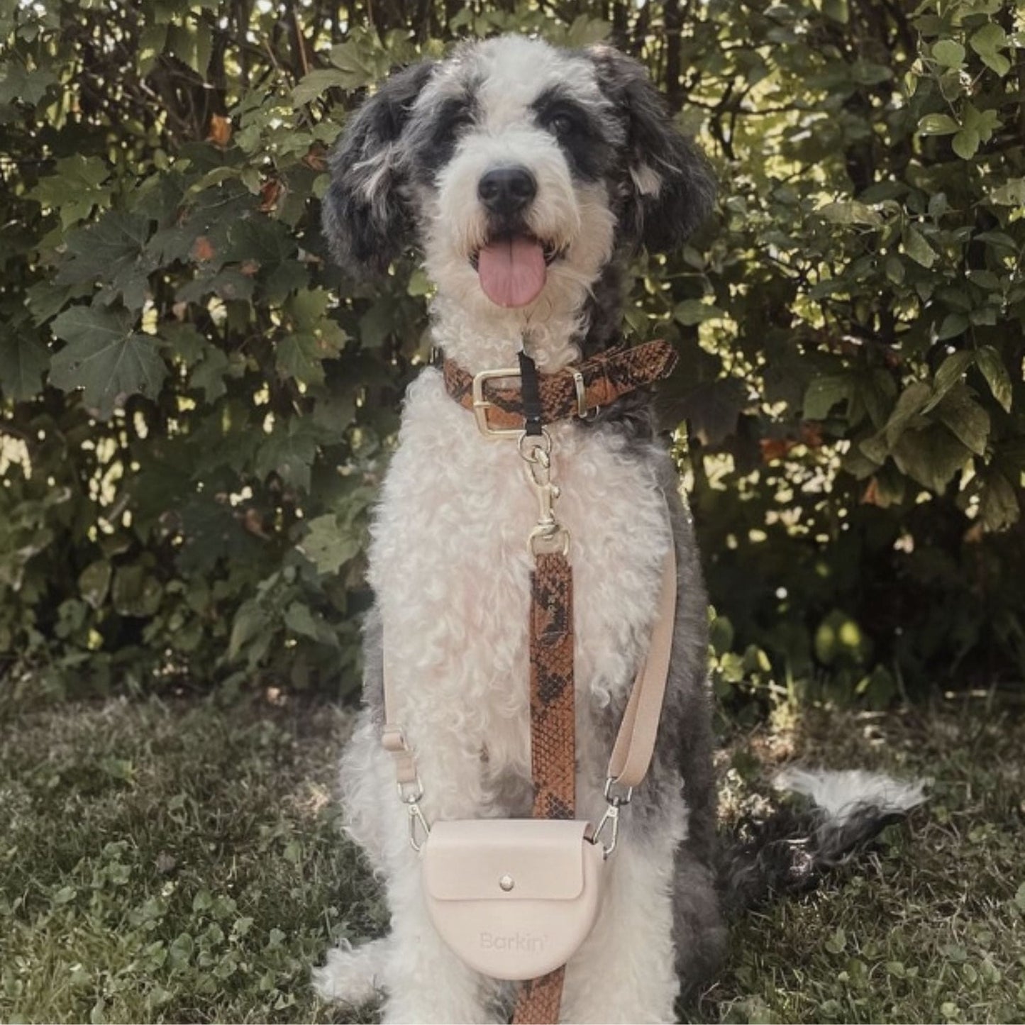 The Barkin' Treat Pouch in Cream
