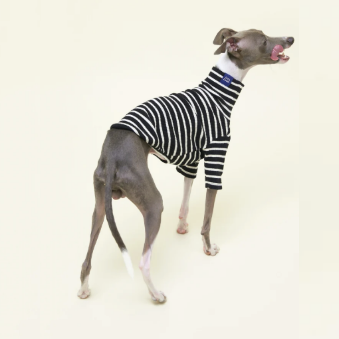 Café in Paris White Striped Sweatshirt in Black