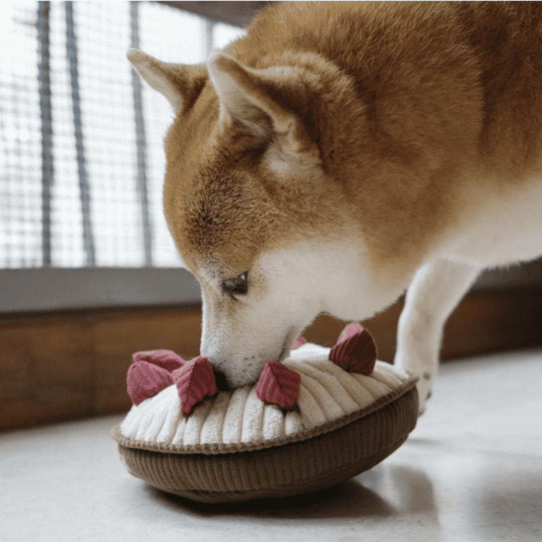 Berry Pie Enrichment Plush Dog Toy