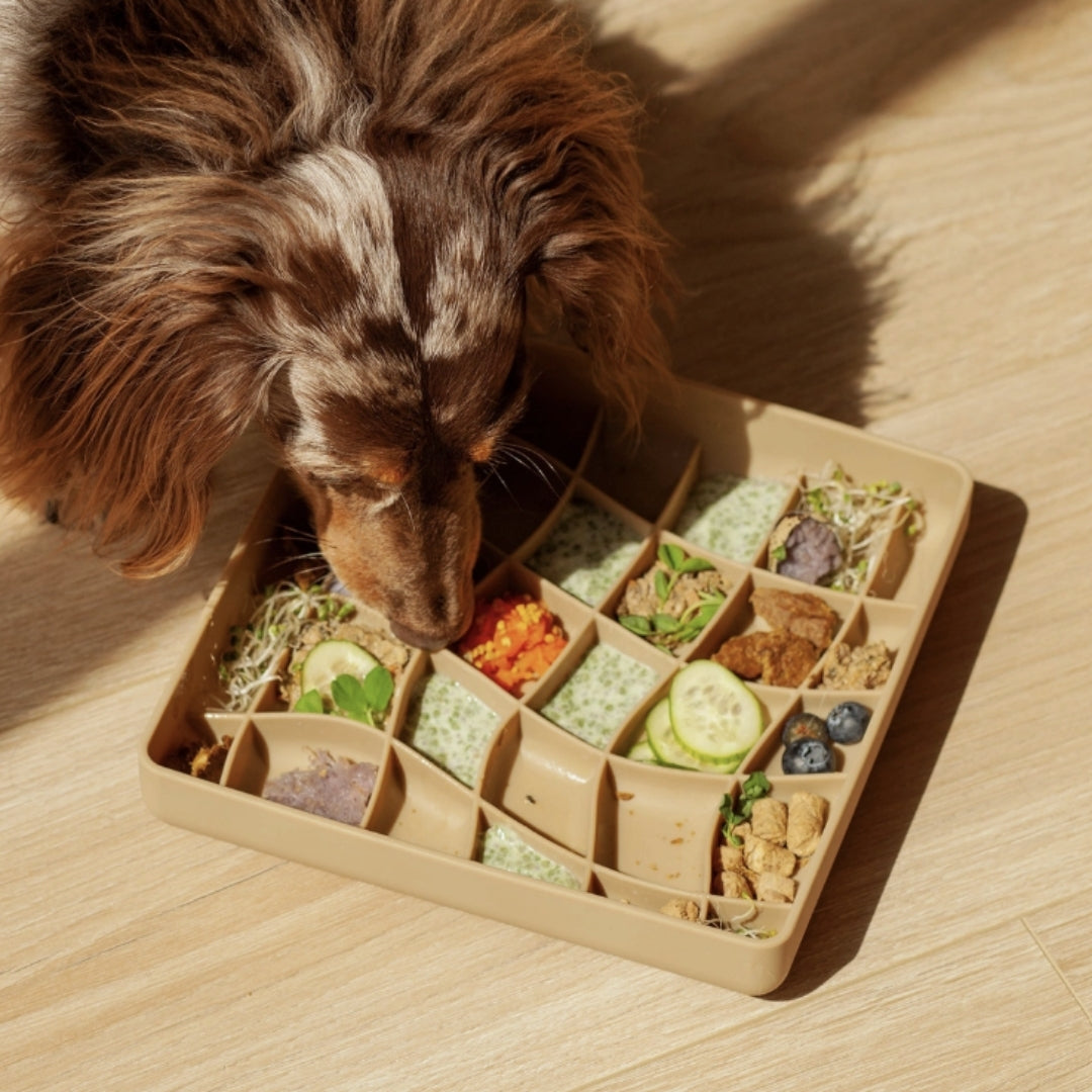 Wavies Slow Feeder Bowl | Mushroom