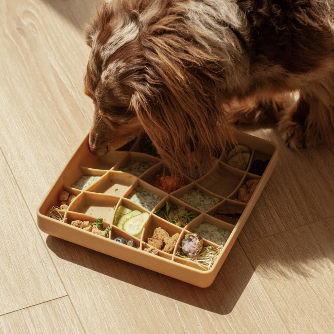 Wavies Slow Feeder Bowl | Mushroom