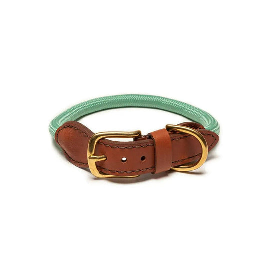 Rope Leather Dog Collar in Mint