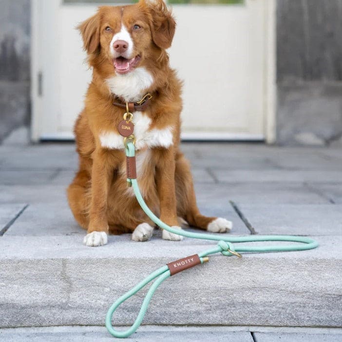 Rope Leather Dog Collar in Mint