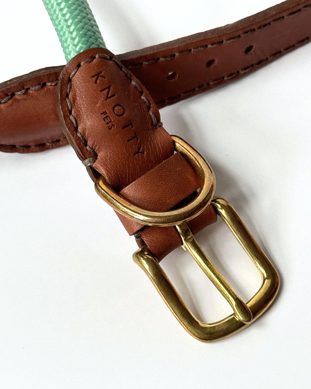 Rope Leather Dog Collar in Mint