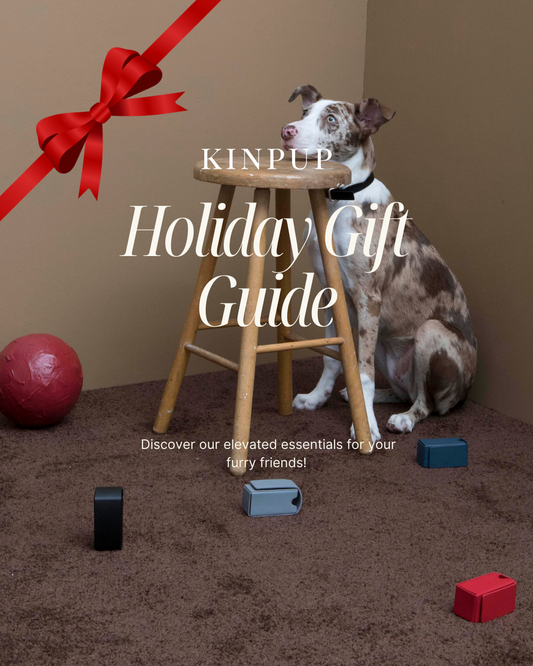The Ultimate Christmas Gift Guide for Dog Parents - 2025 Edition
