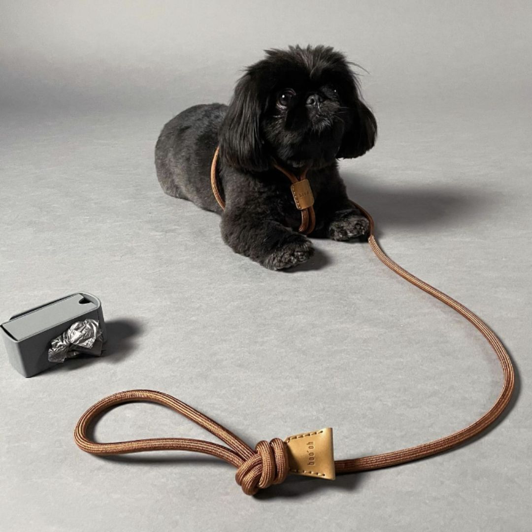 Quiet Luxury for Dogs: The Rise of Minimalist Pet Accessories