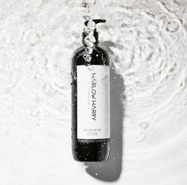 How Often Should You Bathe Your Dog? A Grooming Guide by Coat Type