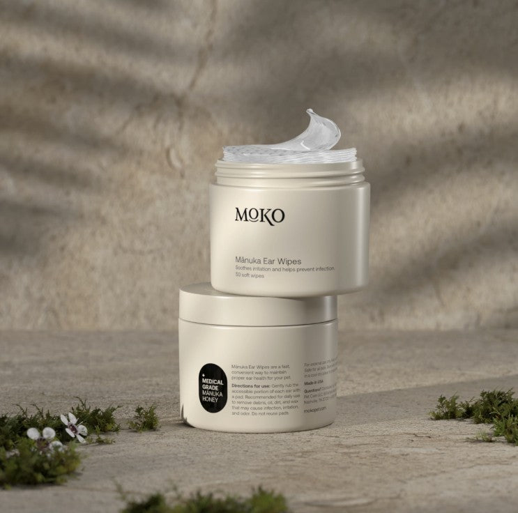 When, Why, and How to Use Dog Ear Wipes Safely