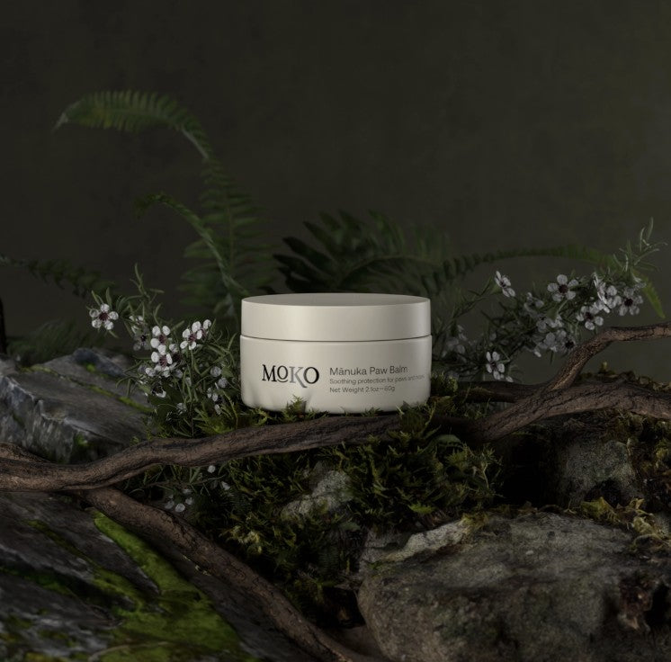 Dry, Cracked Paws? How Paw Balm Helps Protect Your Dog Year-Round