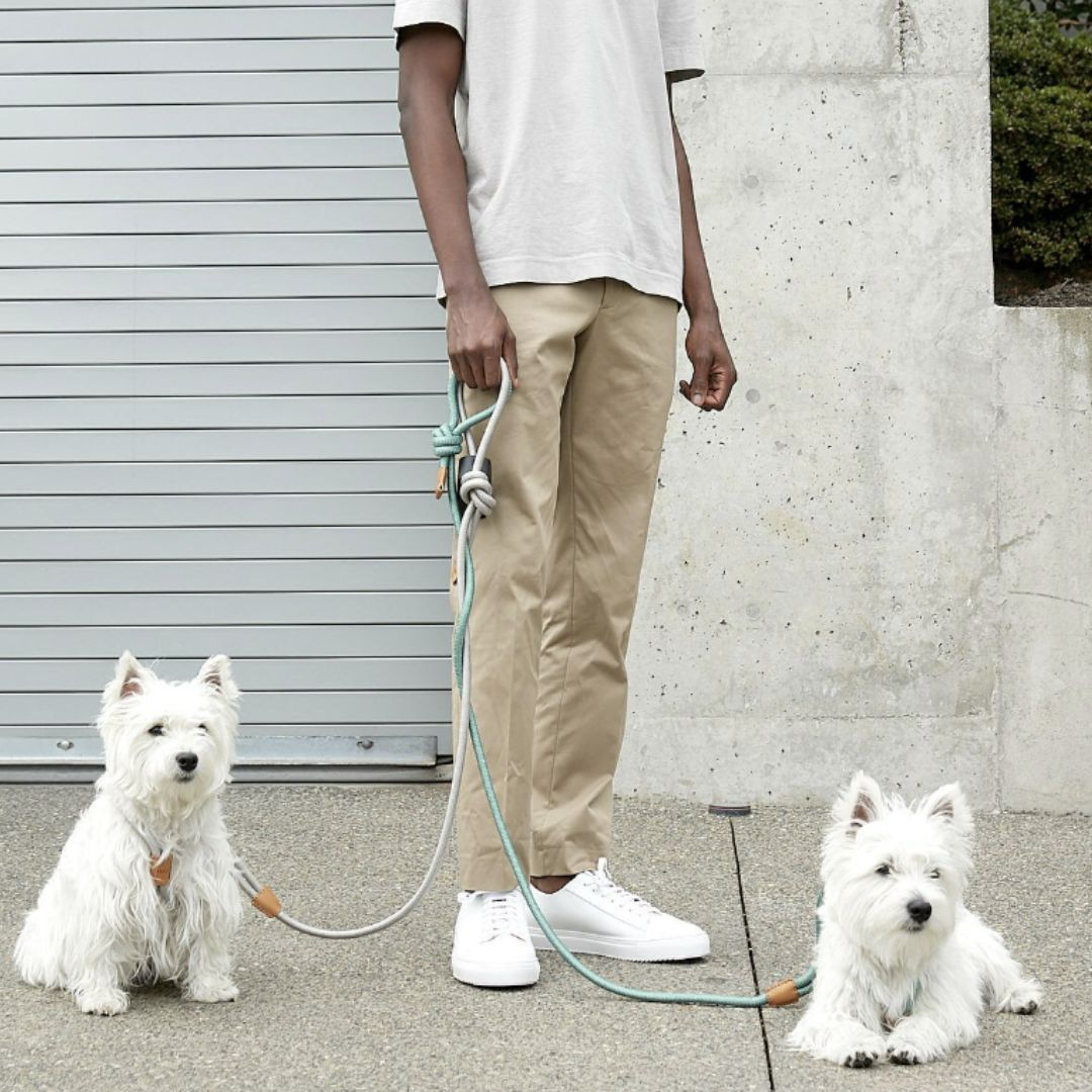 How to Build a Stylish Dog Walking Set