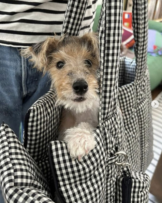 Dog Carrier Bags: A Guide for Small Dogs