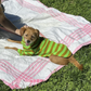 Fresh Grass Striped Sweatshirt