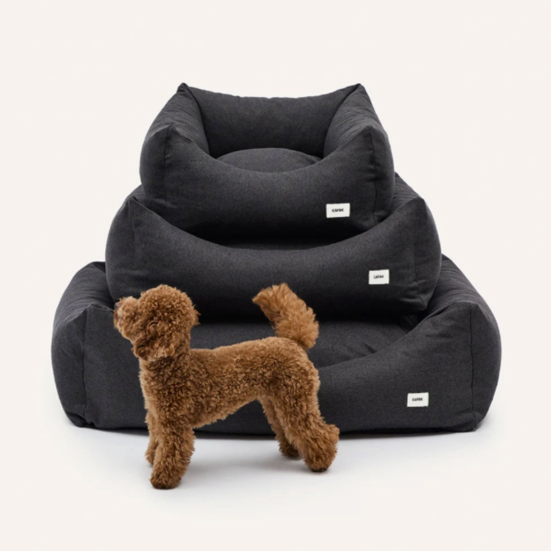 Snozy Anthracite Dog Bed in Noir