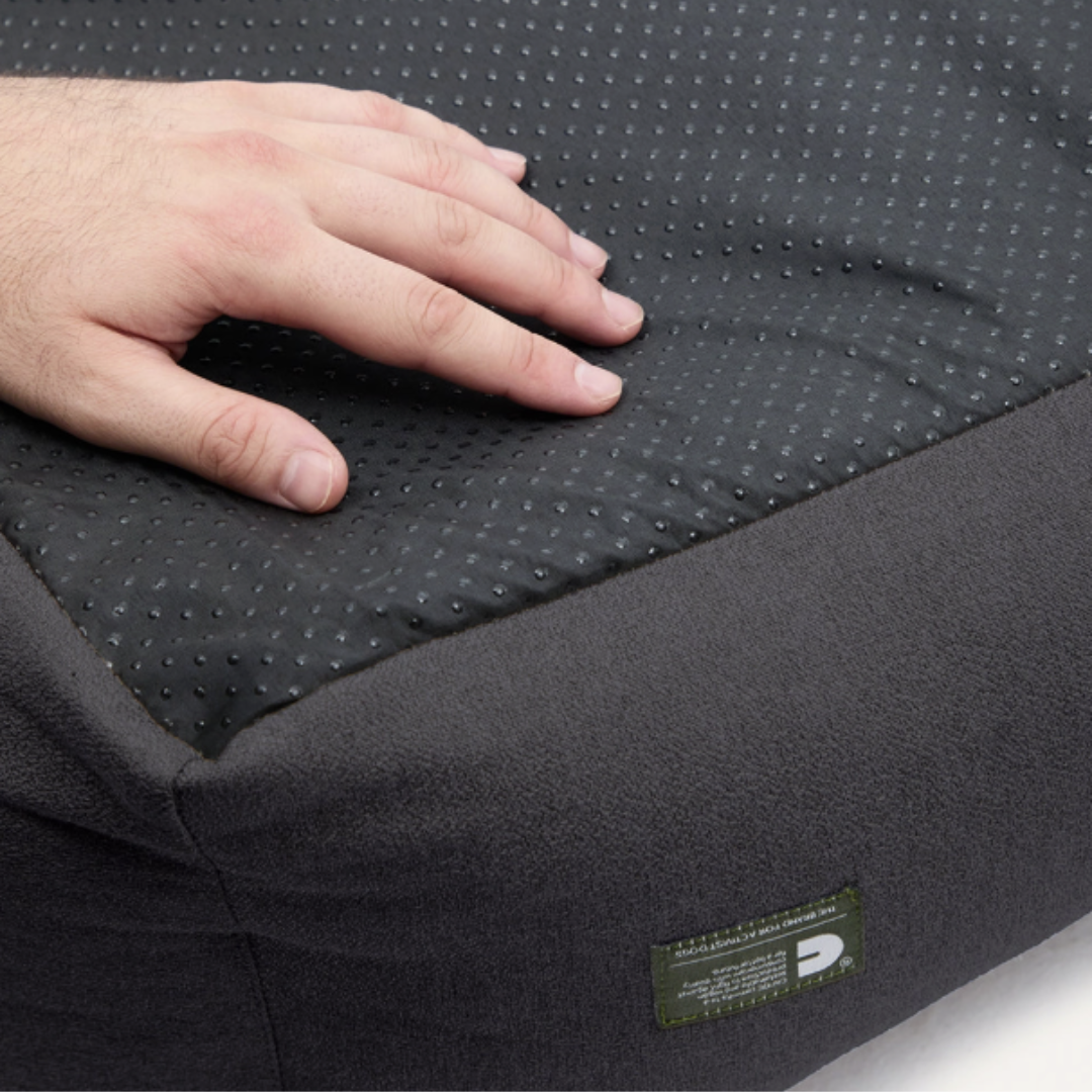 Snozy Anthracite Dog Bed in Noir