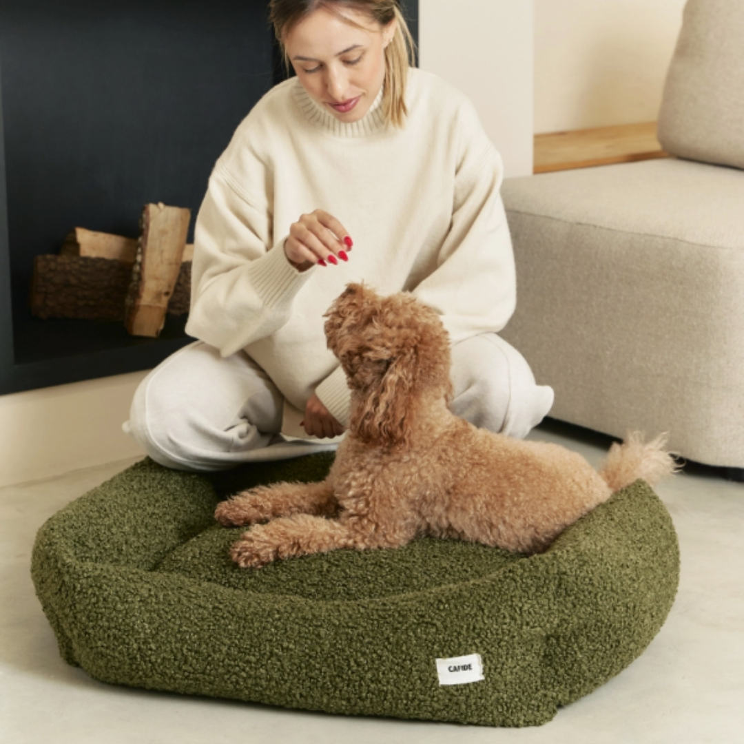 Snozy Sheep Dog Bed in Moss