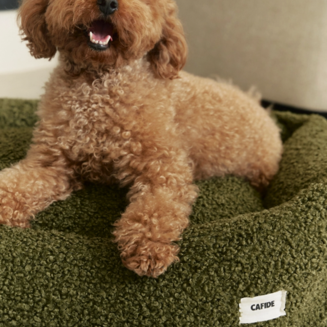 Snozy Sheep Dog Bed in Moss