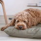 Maatin Dog Bed in Fern