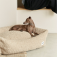 Snozy Sheep Dog Bed in Beige