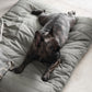 Maatin Dog Bed in Fern