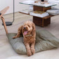 Maatin Dog Bed in Fern