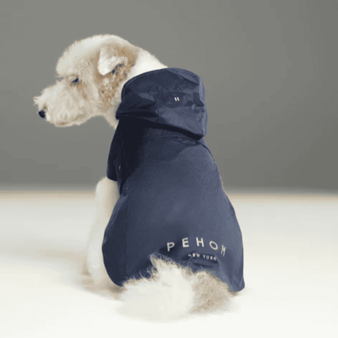 Capsule Dog Raincoat - Navy Blue