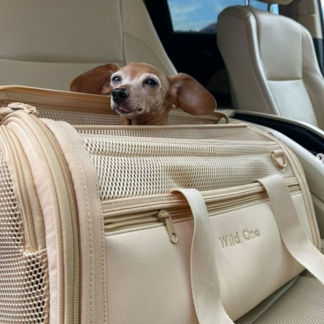 Travel Tsa Compliant Pet Dog Carrier in Tan