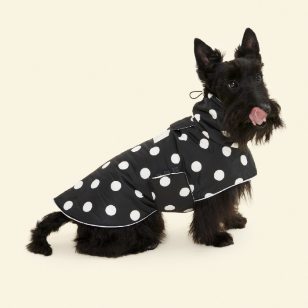 Little Beast Betty Reversible Raincoat