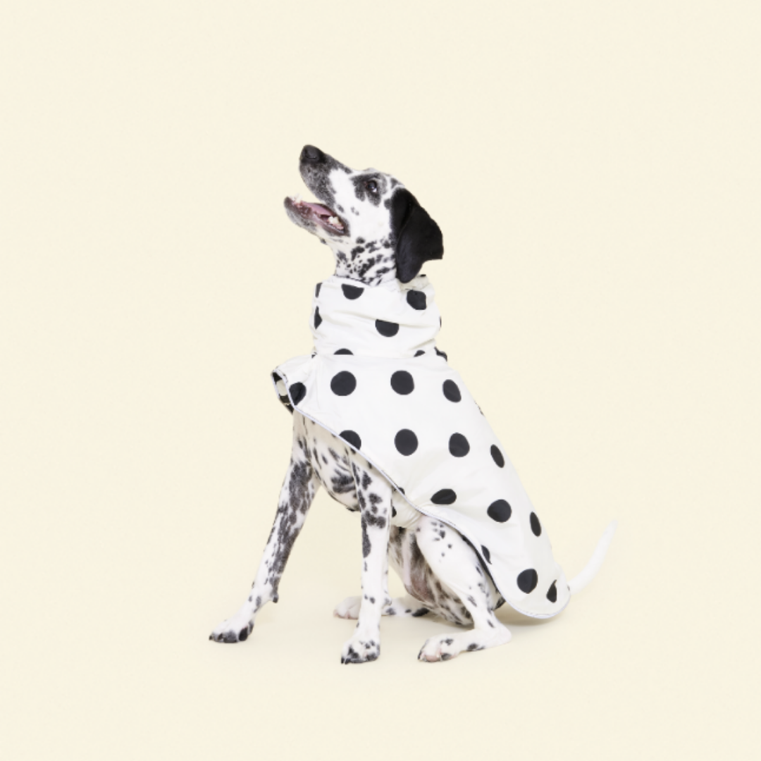 Little Beast Betty Reversible Raincoat