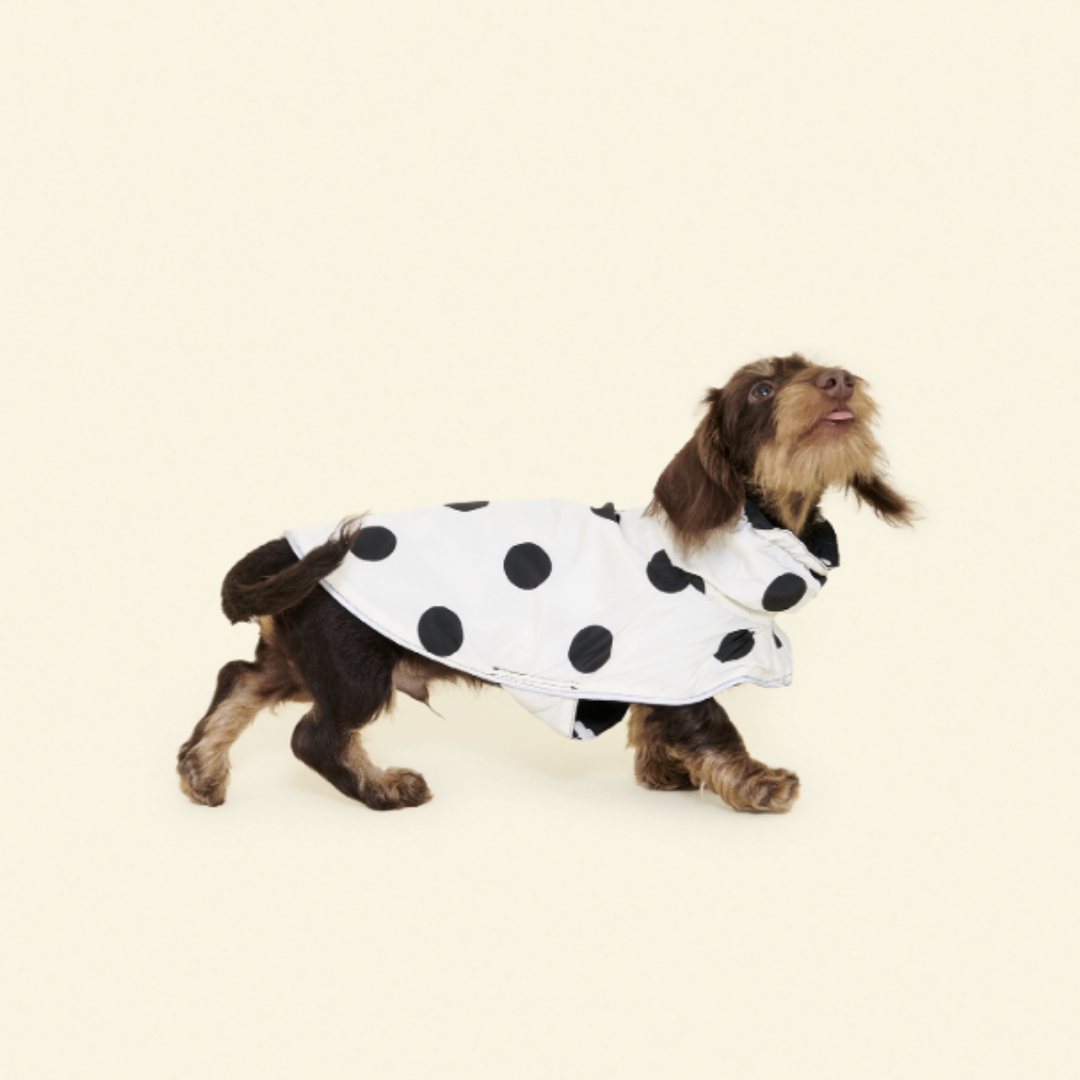 Little Beast Betty Reversible Raincoat