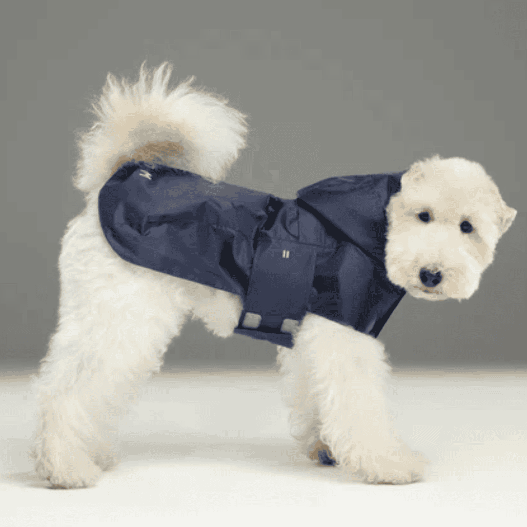Capsule Dog Raincoat - Navy Blue