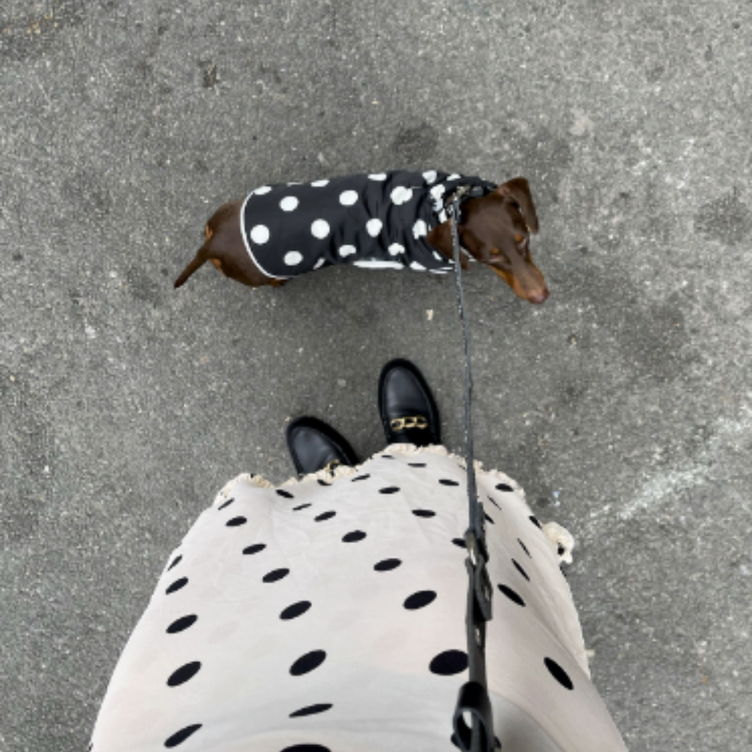 Little Beast Betty Reversible Raincoat