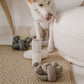 Nou | Charcoal with Crinkle Clusters Enrichment Dog Toy