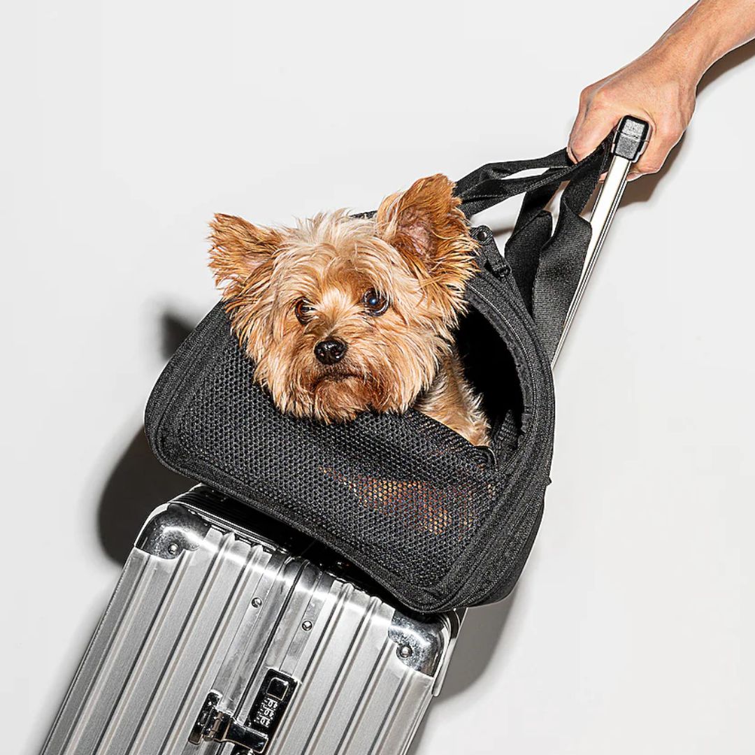 Travel Tsa Compliant Pet Dog Carrier in Black