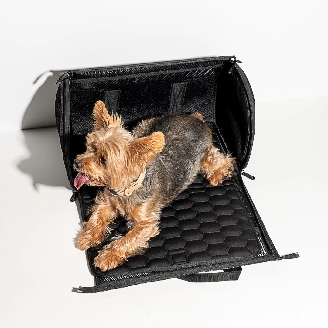 Travel Tsa Compliant Pet Dog Carrier in Black