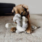 Nou | Grey with Crinkle Clusters Enrichment Dog Toy