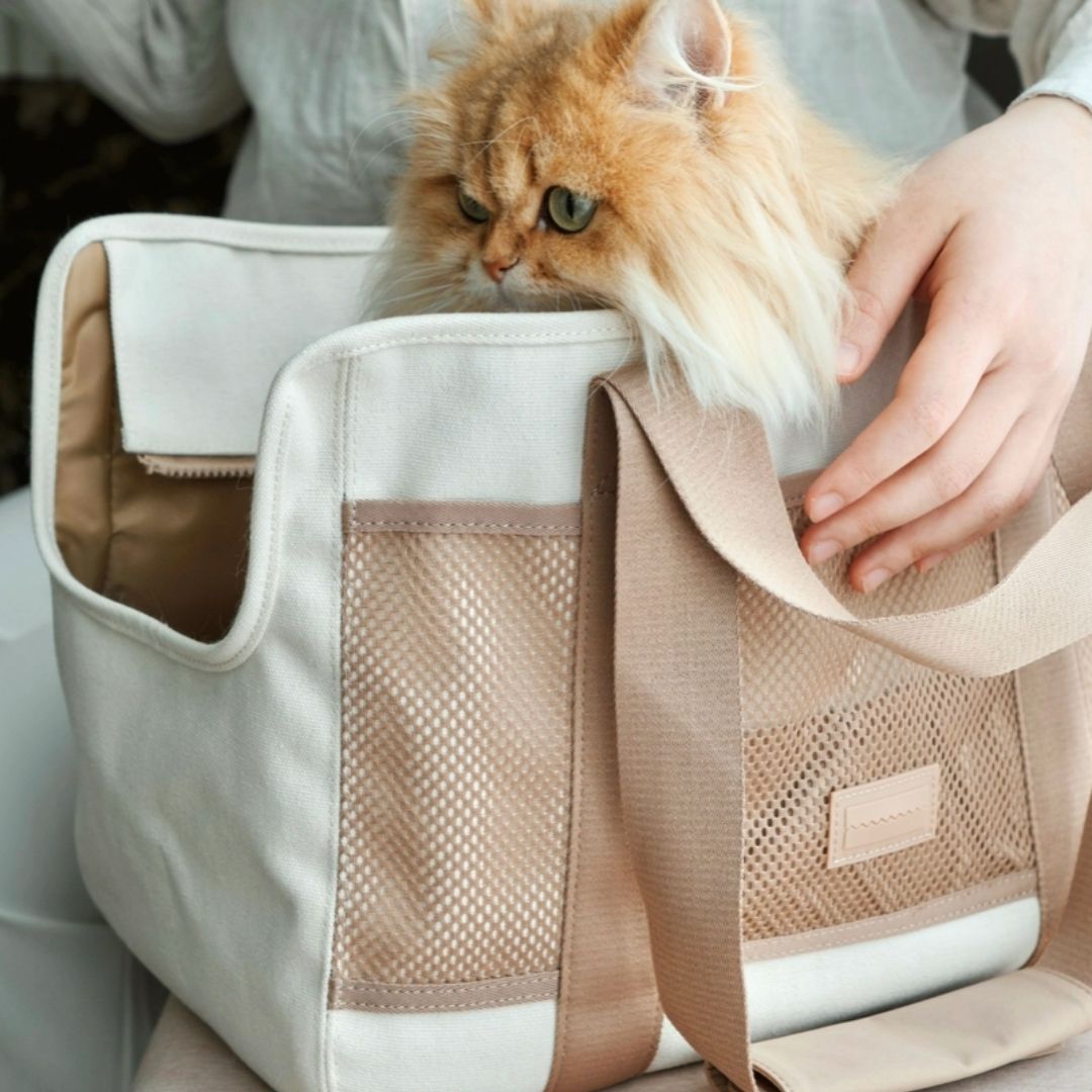 Subway Pet Carrier in Camel