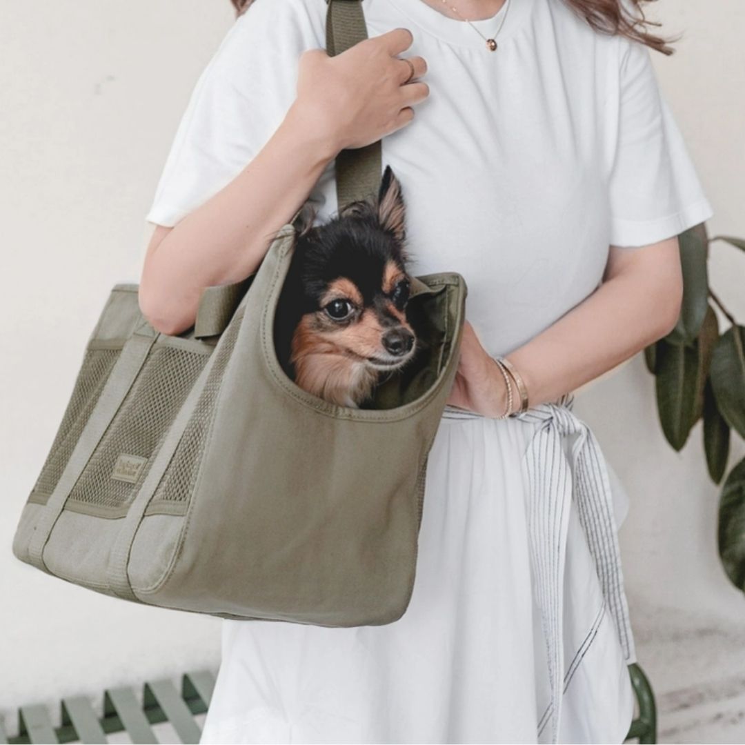 Subway Pet Carrier in Fern