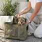 Subway Pet Carrier in Fern