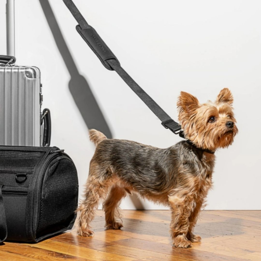 Travel Tsa Compliant Pet Dog Carrier in Black