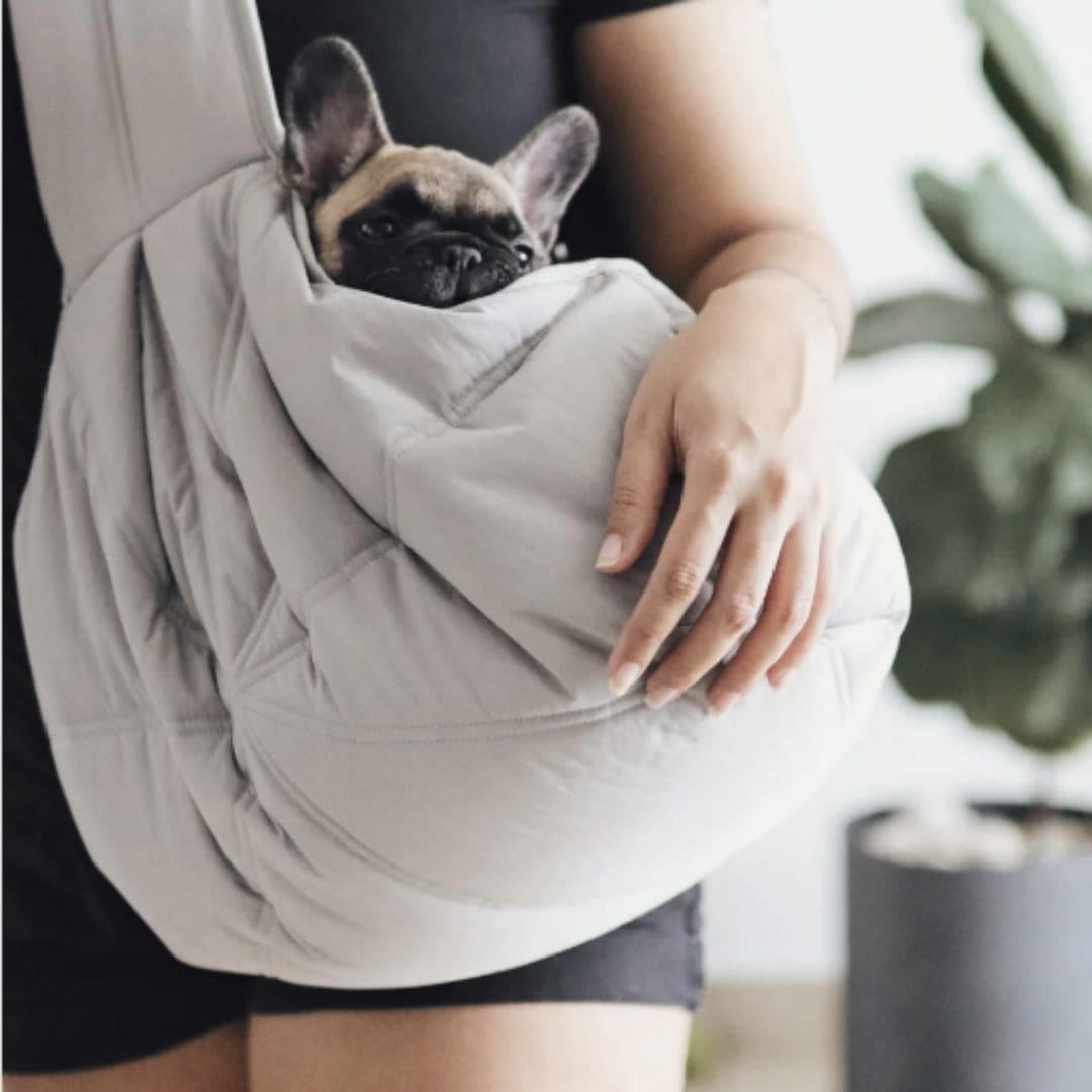 Olla Dog Carrier in Light Grey