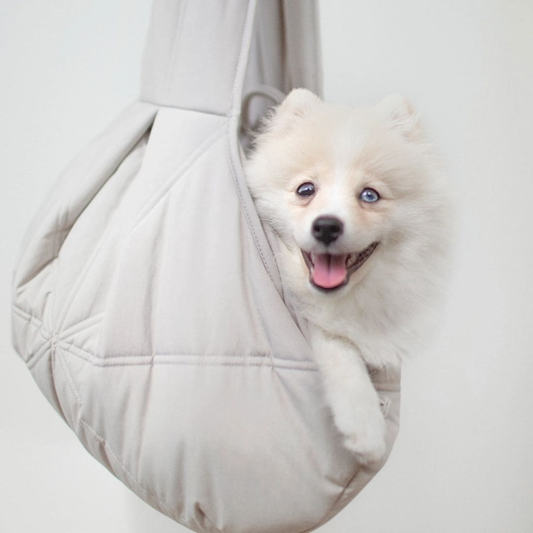 Olla Dog Carrier in Light Grey